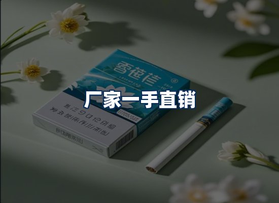 专业团队办公环境